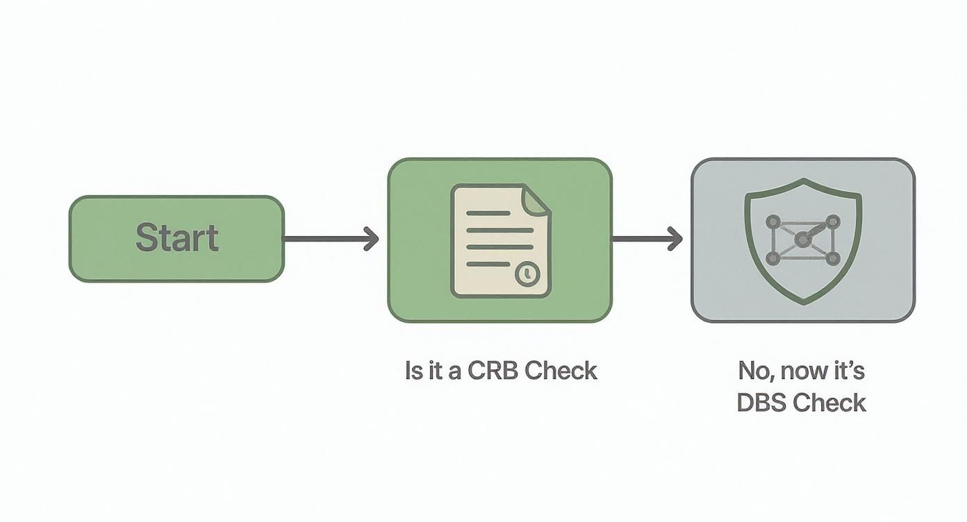 A flowchart showing the evolution from CRB to DBS checks, with steps: Start, Is it a CRB Check, and No, now it's DBS Check.