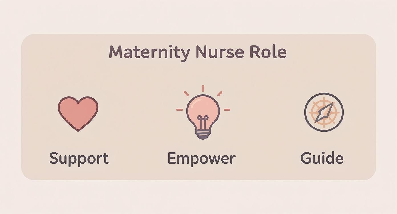 Infographic about what is a maternity nurse