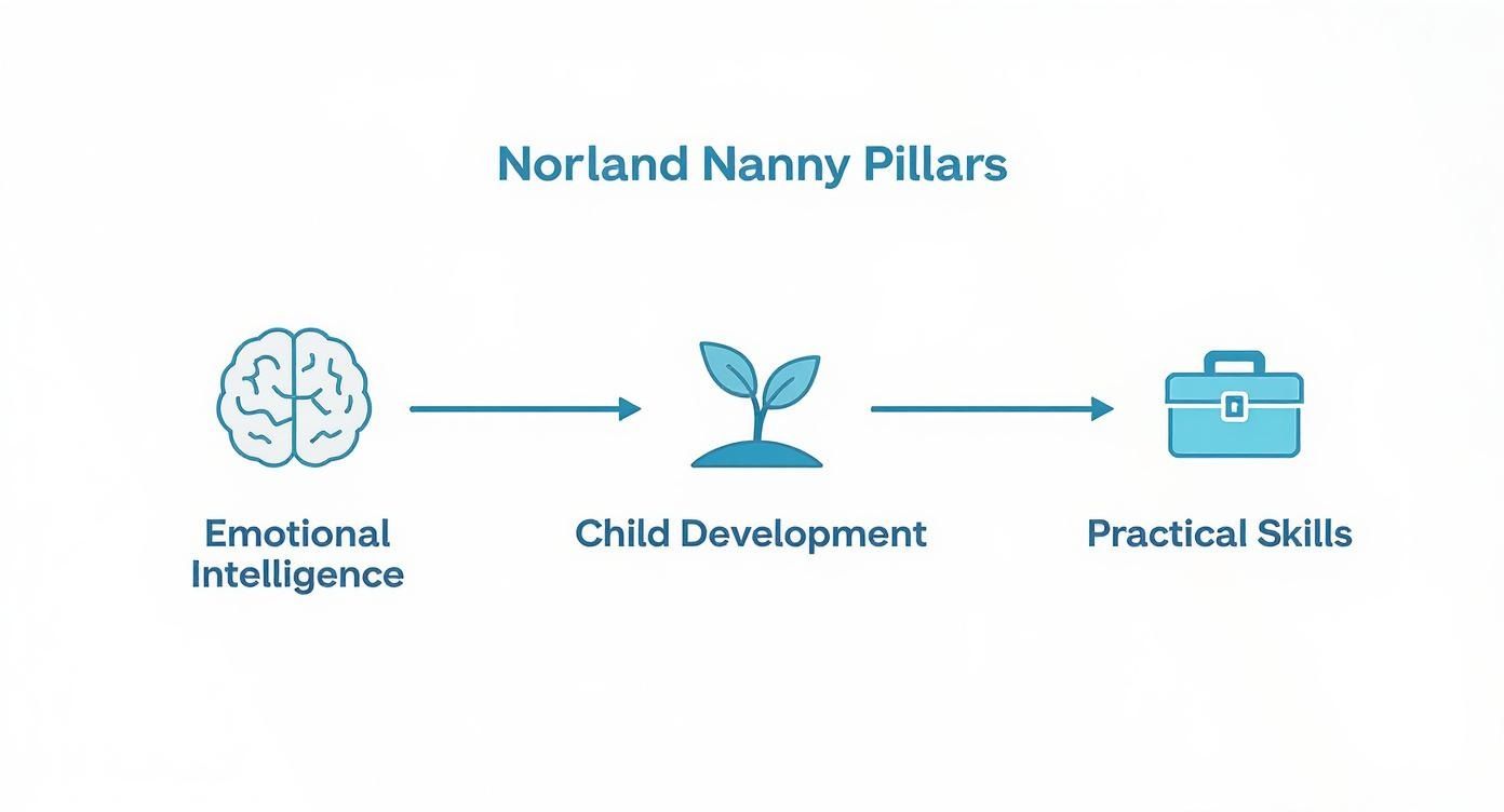 Infographic about what is a norland nanny