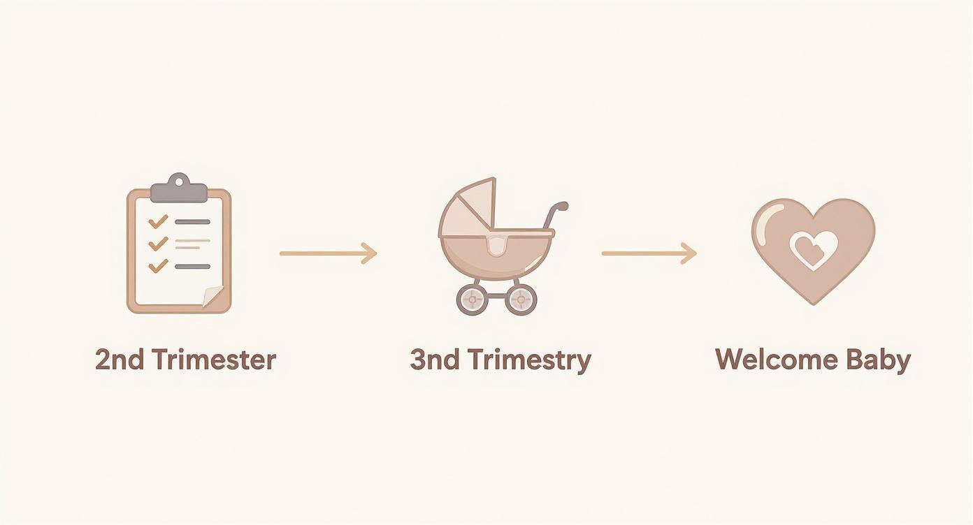 A visual timeline illustrating the journey from the 2nd trimester to welcoming a newborn baby.