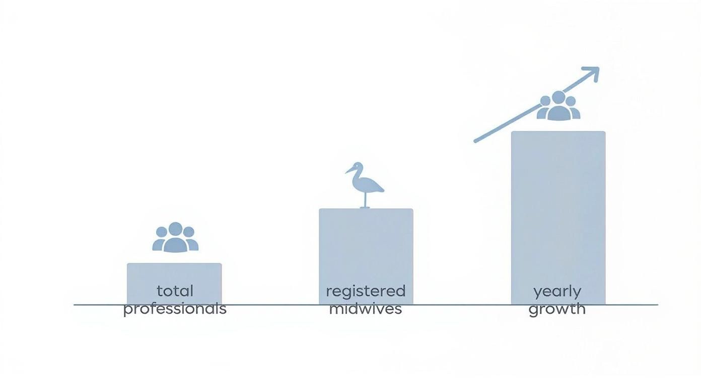 Bar chart comparing total professionals, registered midwives, and yearly growth with upward trending arrow