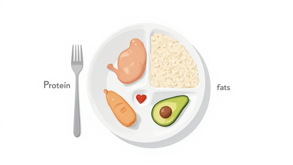 A white partitioned plate featuring a balanced meal with chicken, rice, sausage, avocado, and a fork.
