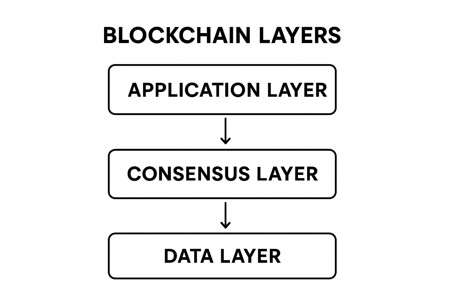 Infographic about blockchain developer roadmap