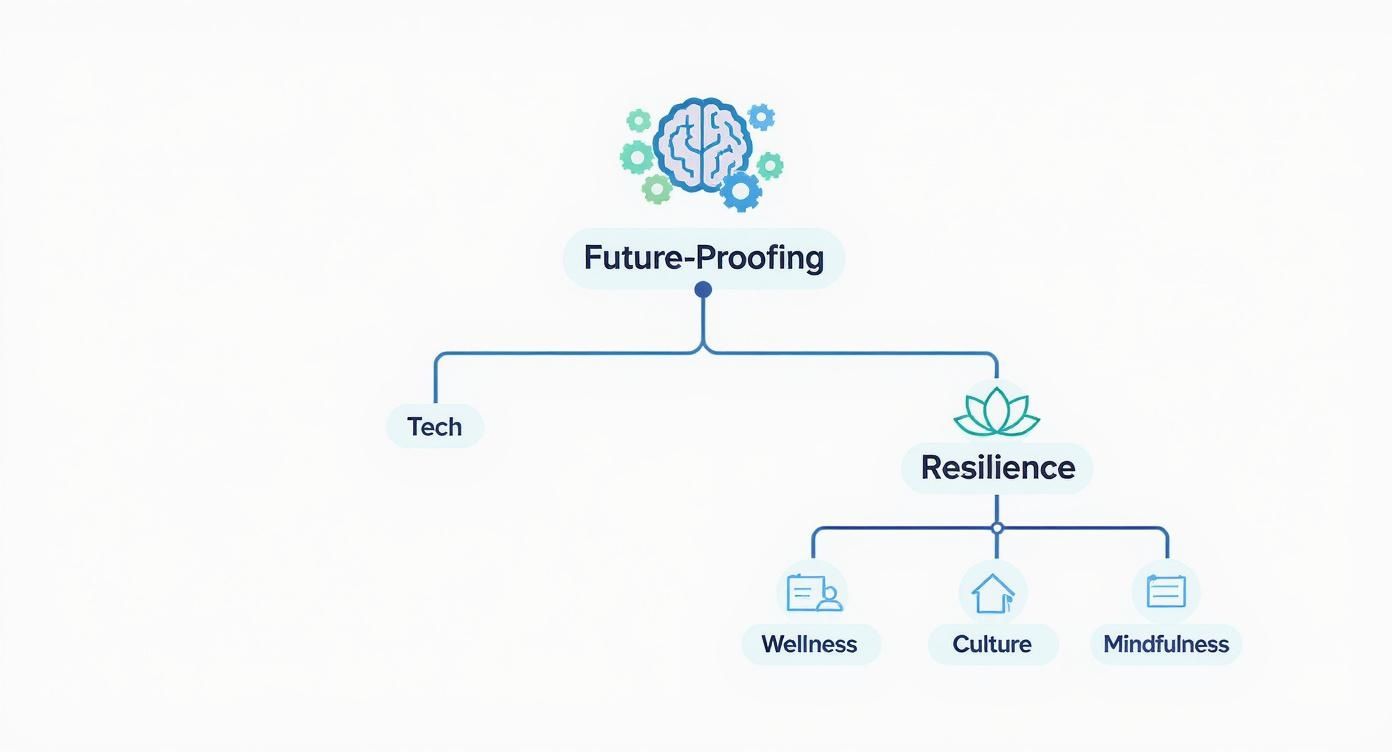 Infographic about hiring a keynote speaker
