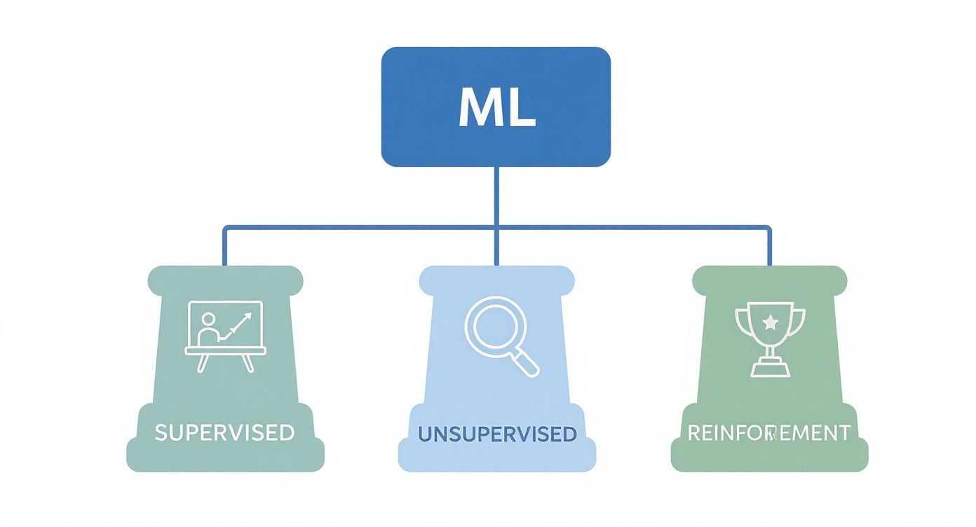 Diagram showing Machine Learning (ML) branched into Supervised, Unsupervised, and Reinforcement learning.