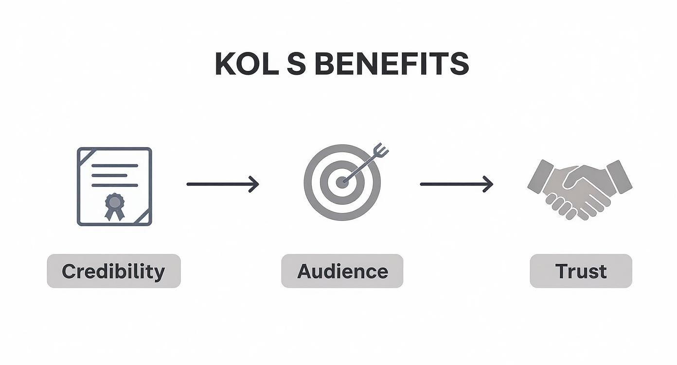 Infographic about key opinion leader marketing
