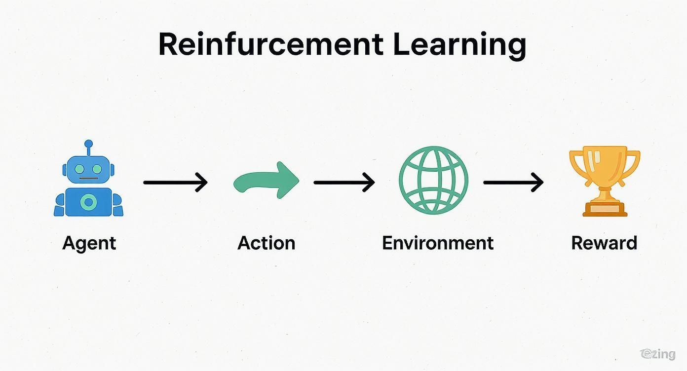 Infographic about what is reinforcement learning