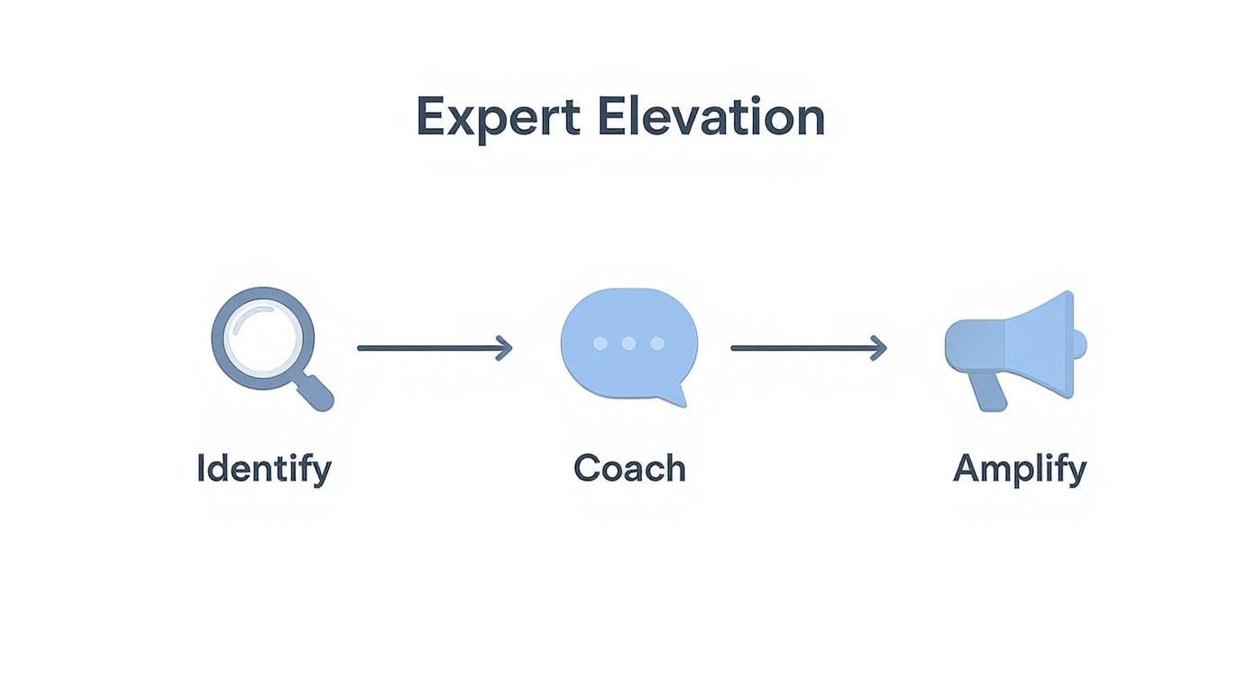 Infographic about thought leadership content strategy