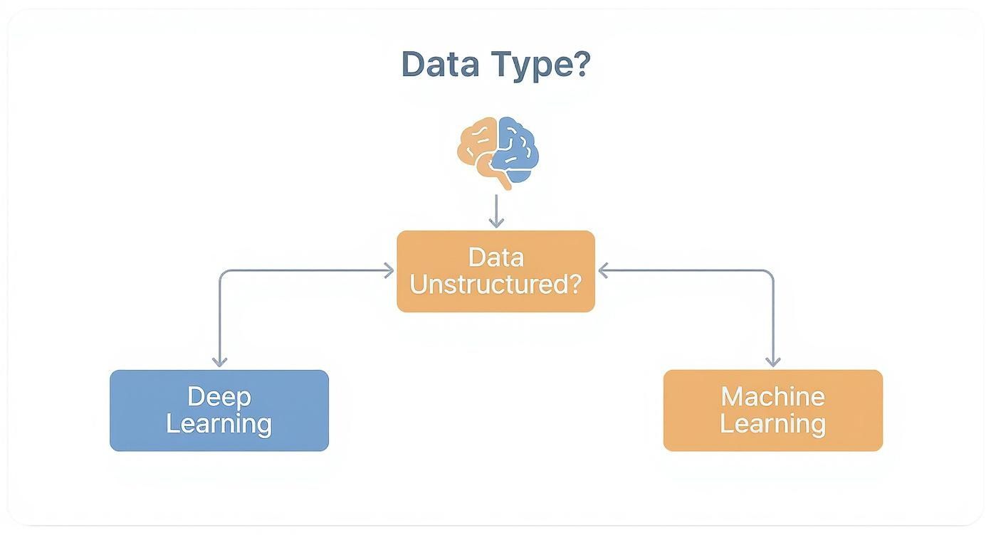 Infographic about deep learning vs machine learning
