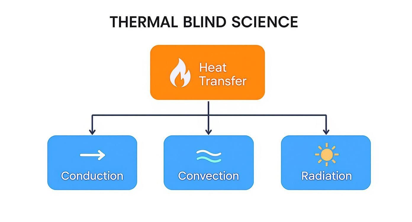 Infographic about energy efficient window blinds