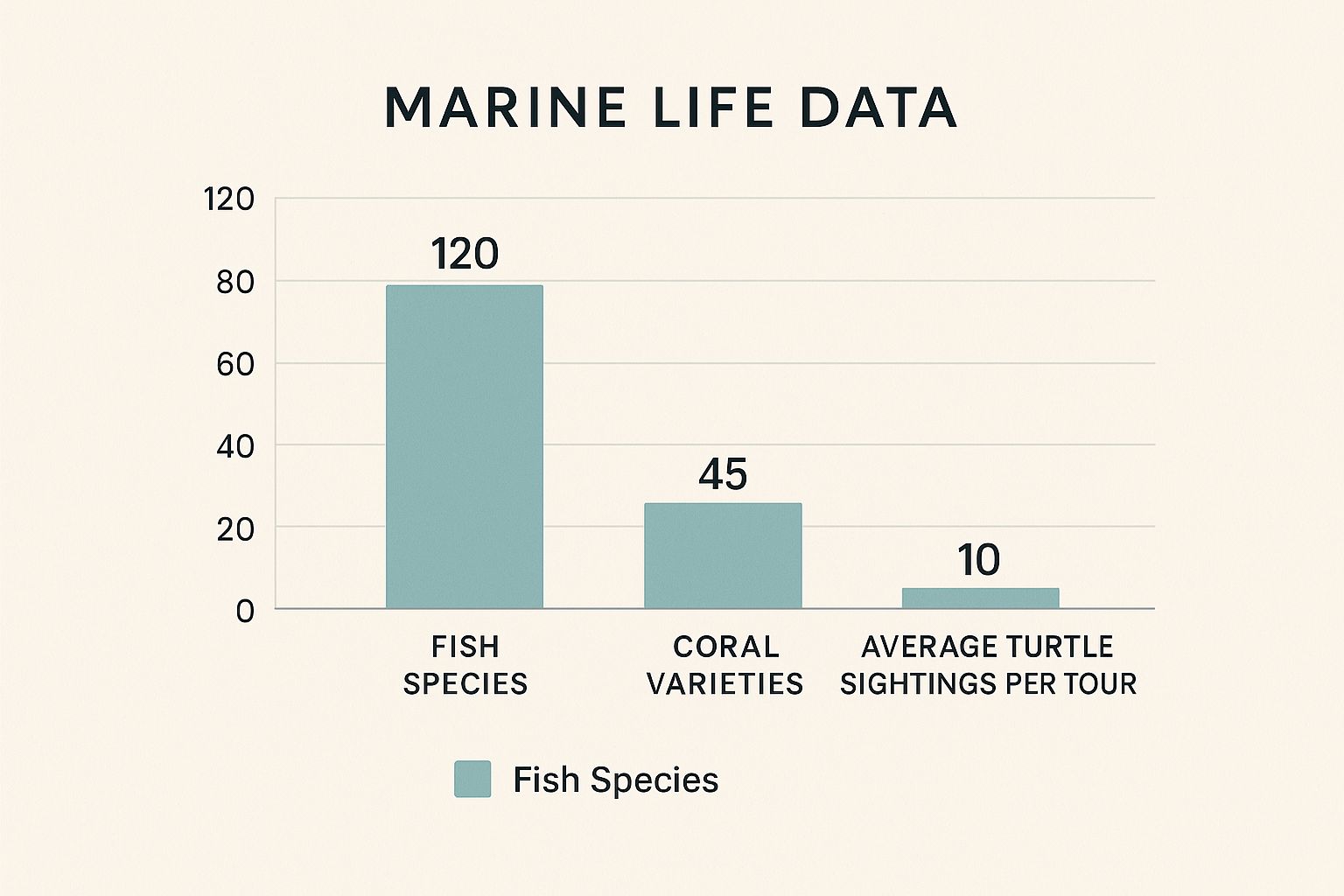 Infographic about captain cook snorkeling tour