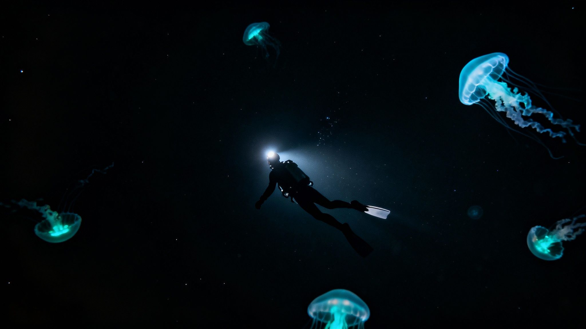 A scuba diver with a bright headlamp swims through dark water among glowing blue jellyfish.