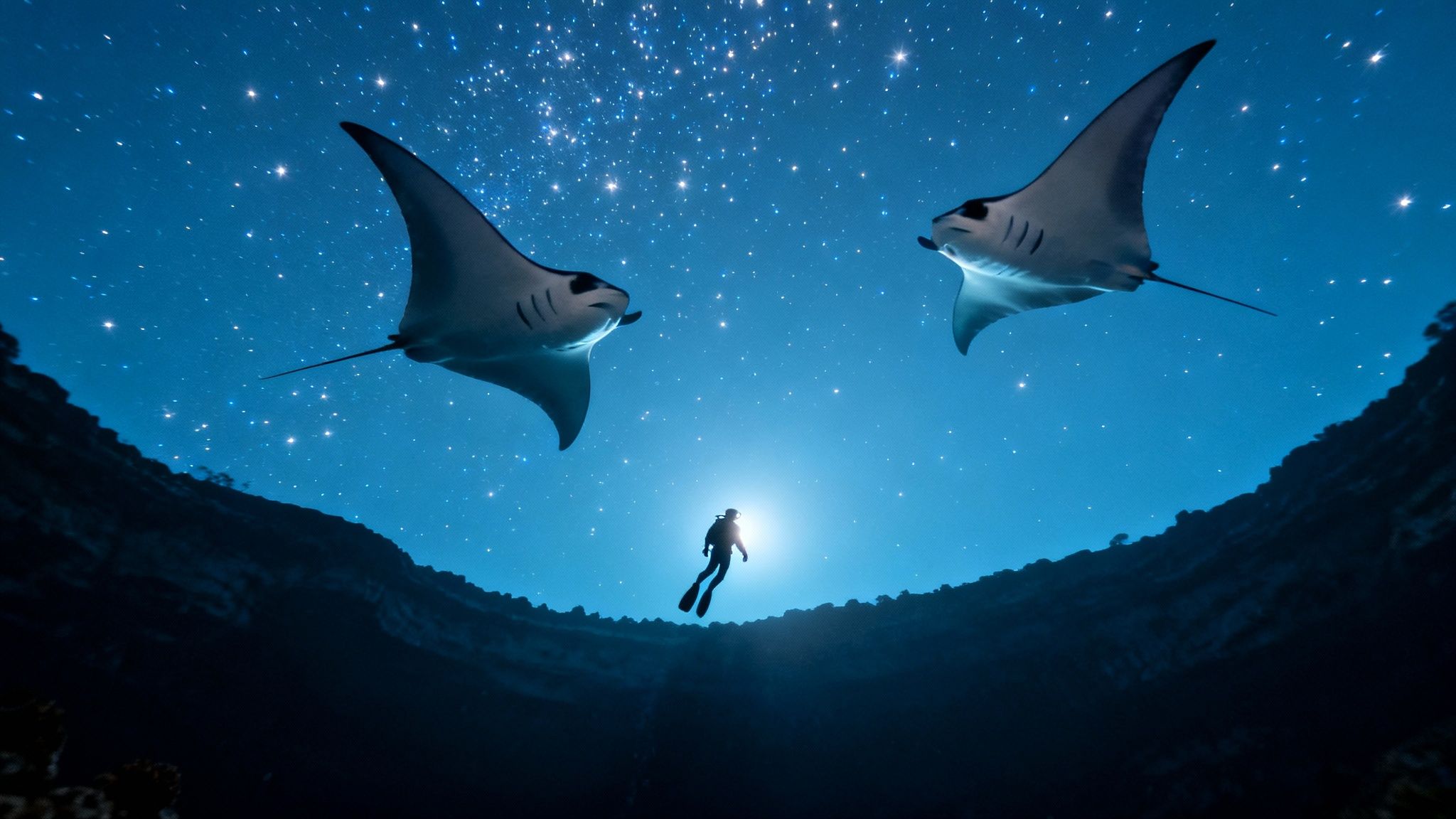 Two majestic manta rays swim above a lone diver in a starry underwater cave.