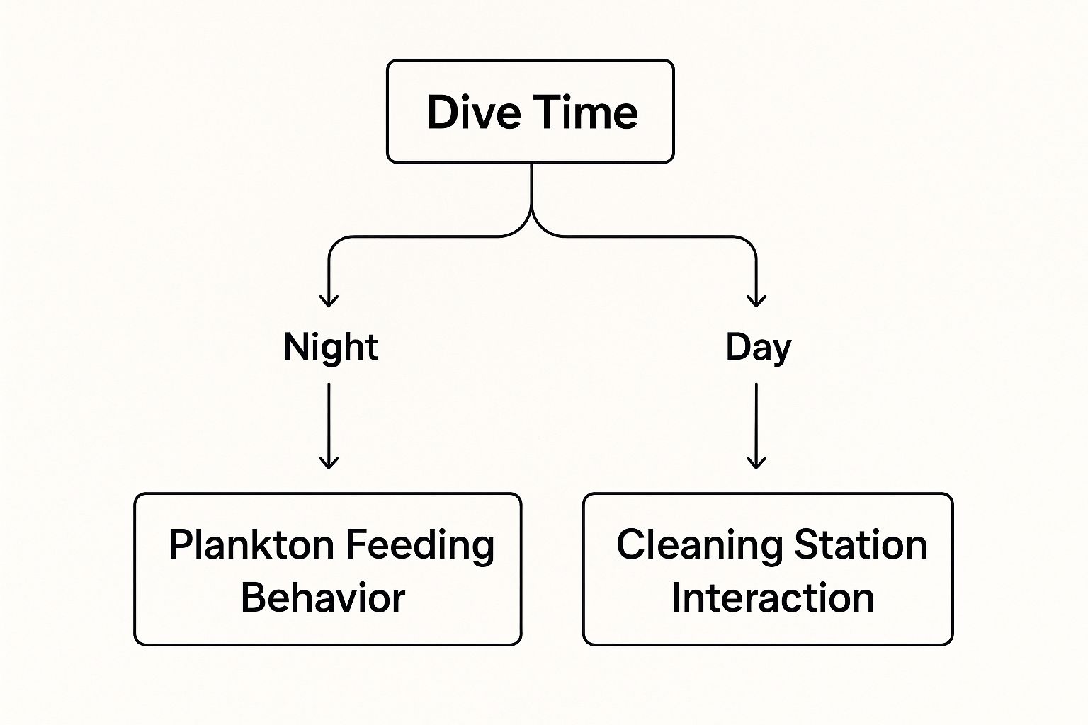 Infographic about manta dive kona