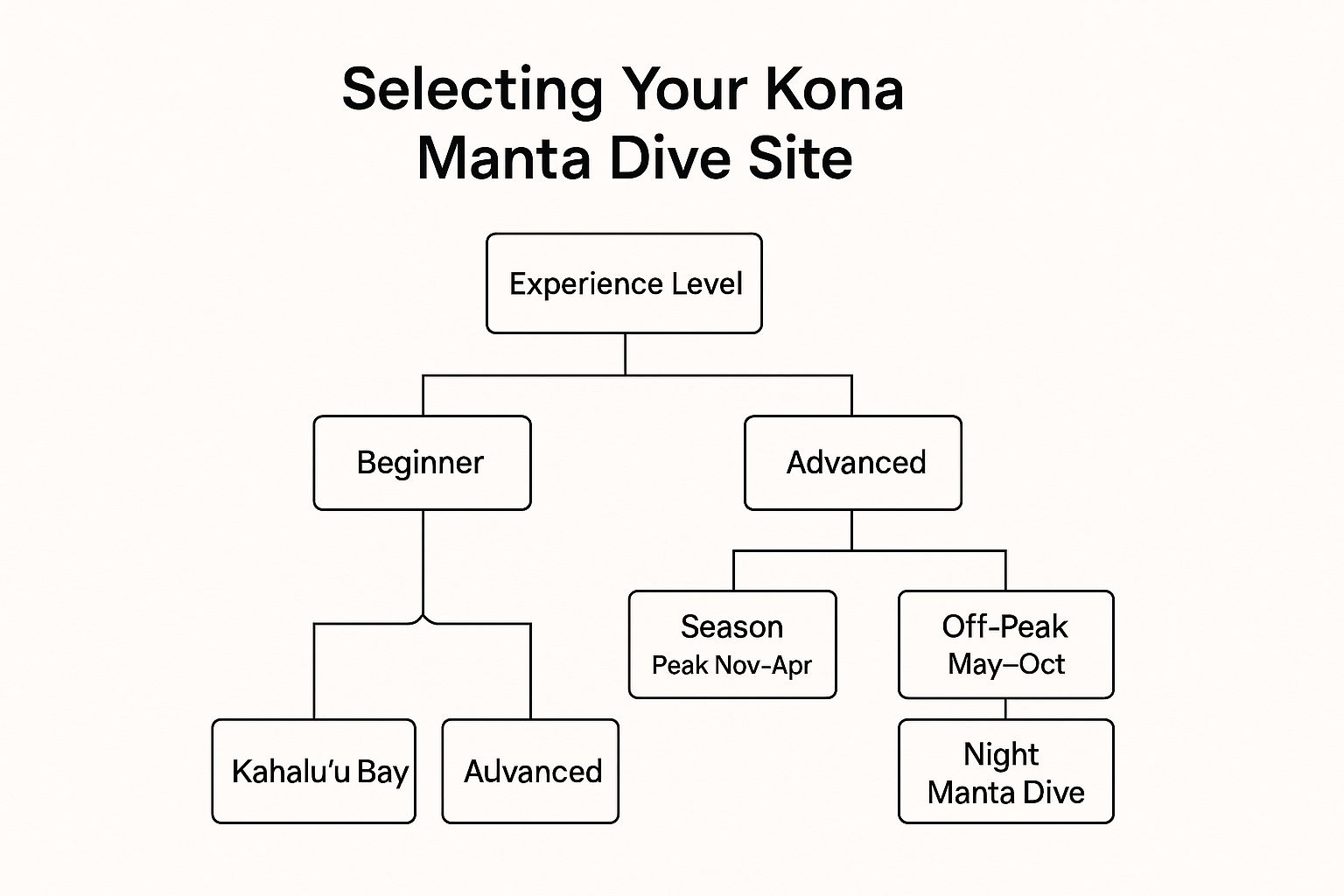 Infographic about manta dive kona
