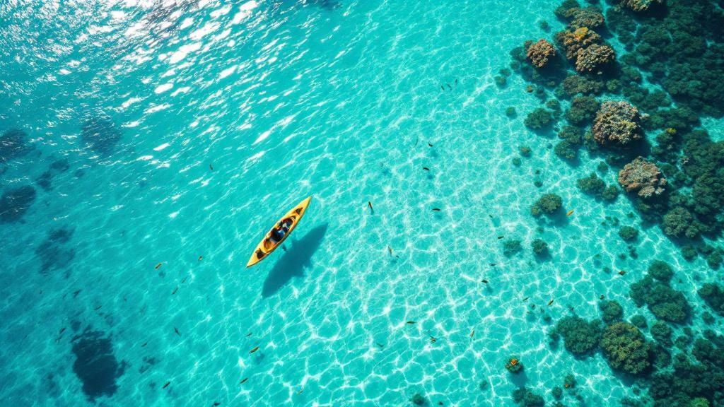 Kealakekua Bay Marine Life Conservation District