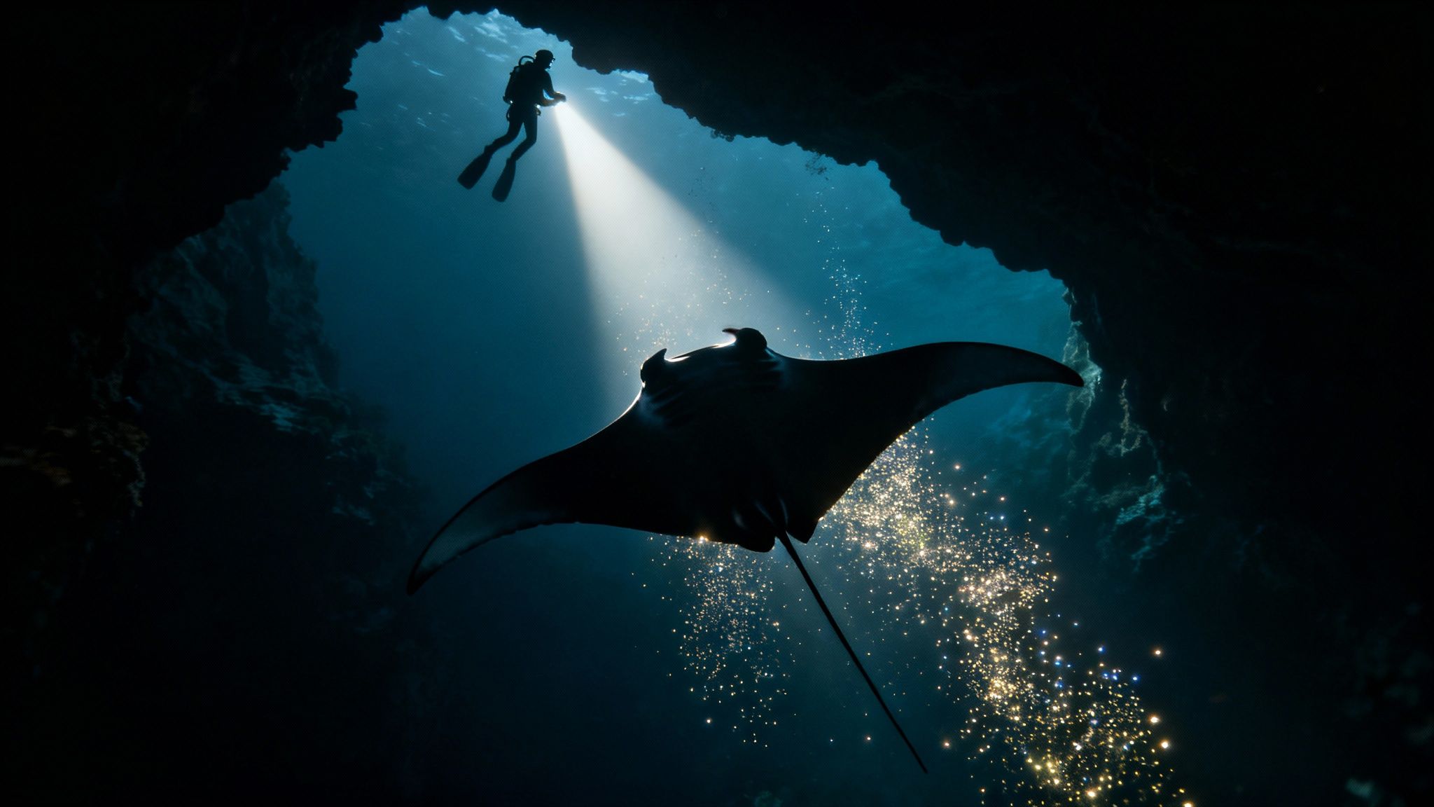 A scuba diver illuminates a majestic manta ray swimming below in a dark underwater cave.