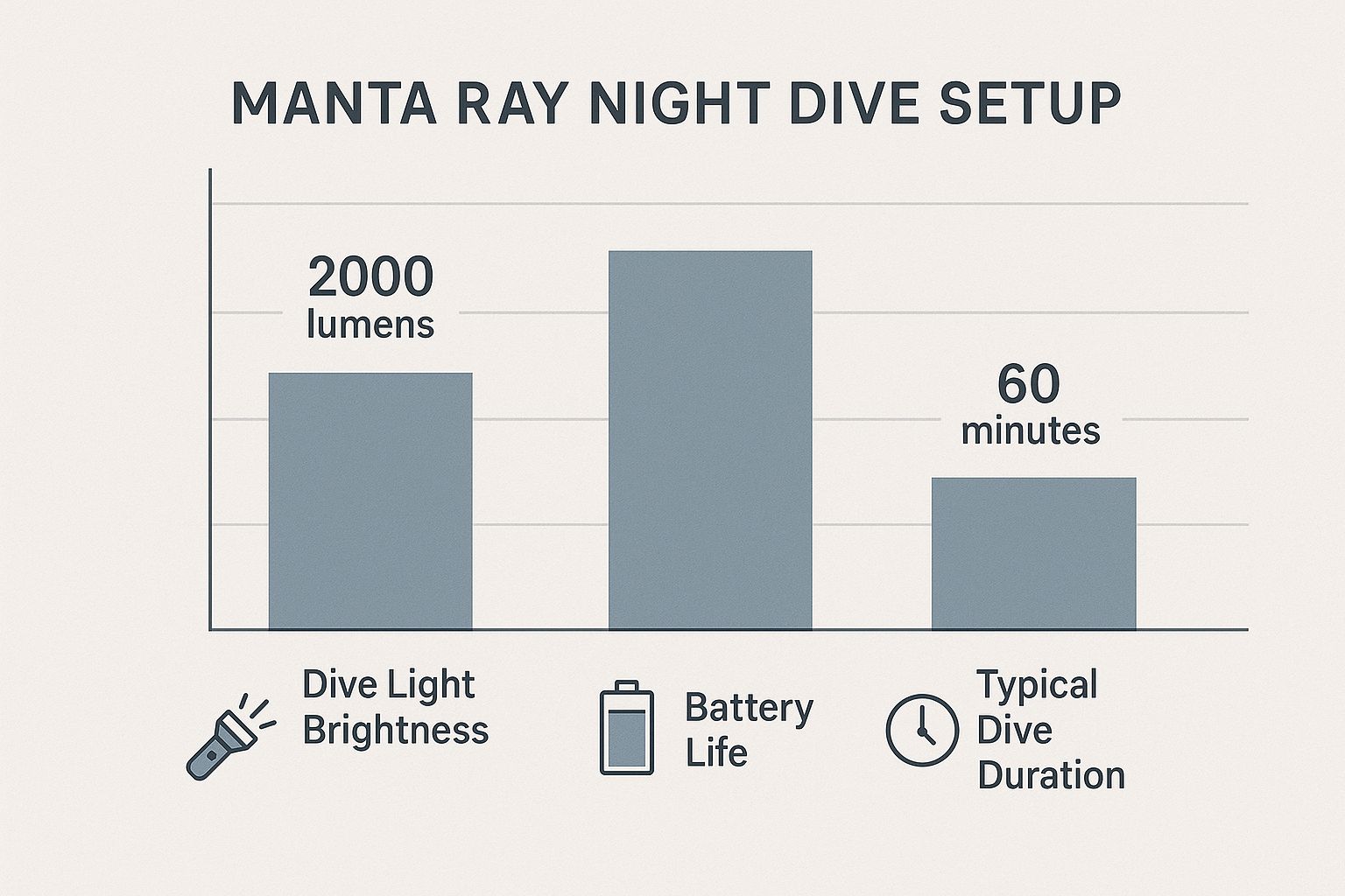 Infographic about manta ray night dive