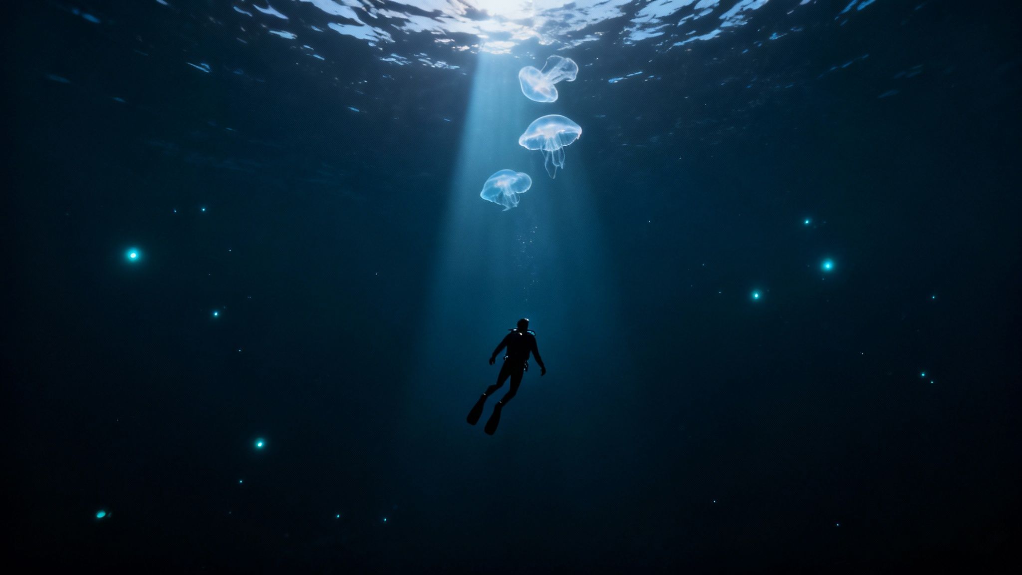 A scuba diver explores a vibrant coral reef, showcasing an underwater adventure suitable for various skill levels.