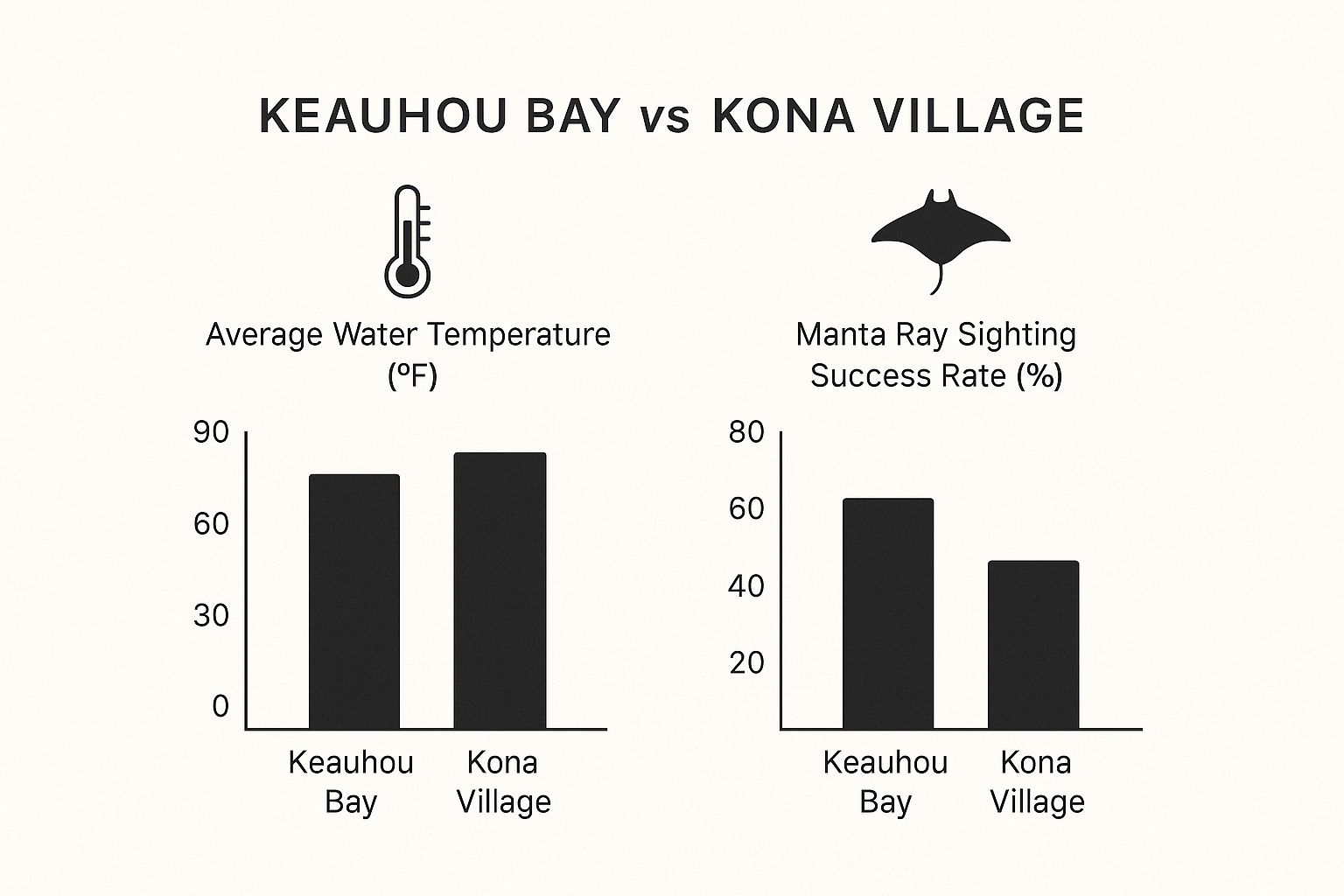 Infographic about manta ray night dive kailua kona