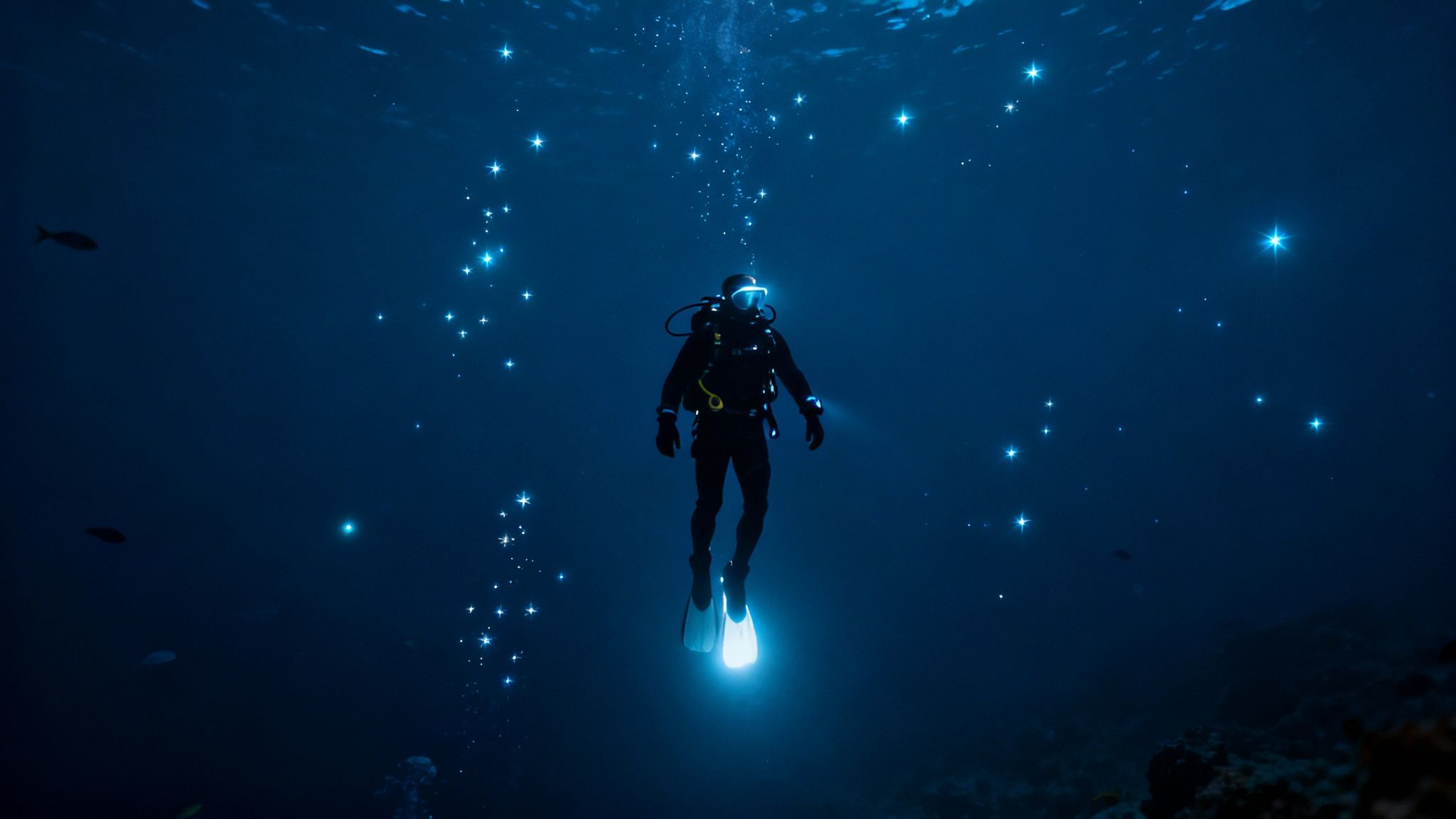 A bioluminescent creature photographed during a blackwater dive, glowing against a dark background.