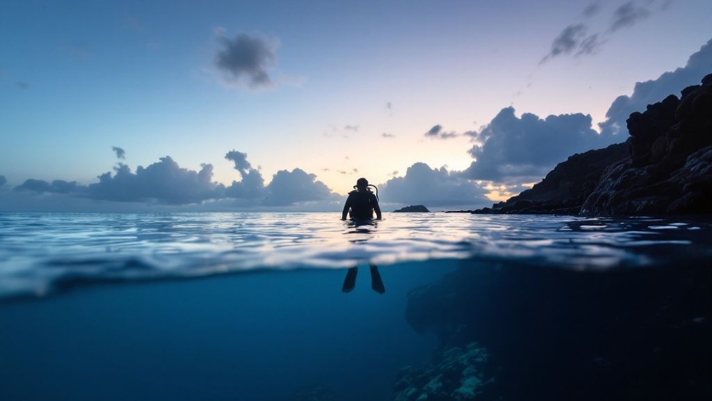 Divers watching a manta ray glide overhead during a night dive in Kona, Hawaii.
