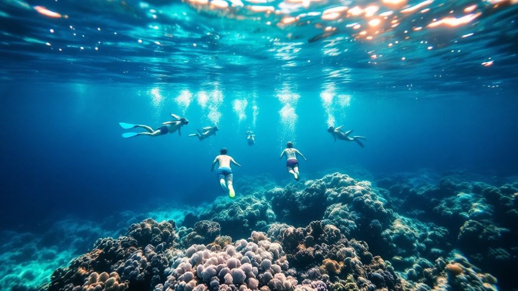 Snorkeling in Kealakekua Bay