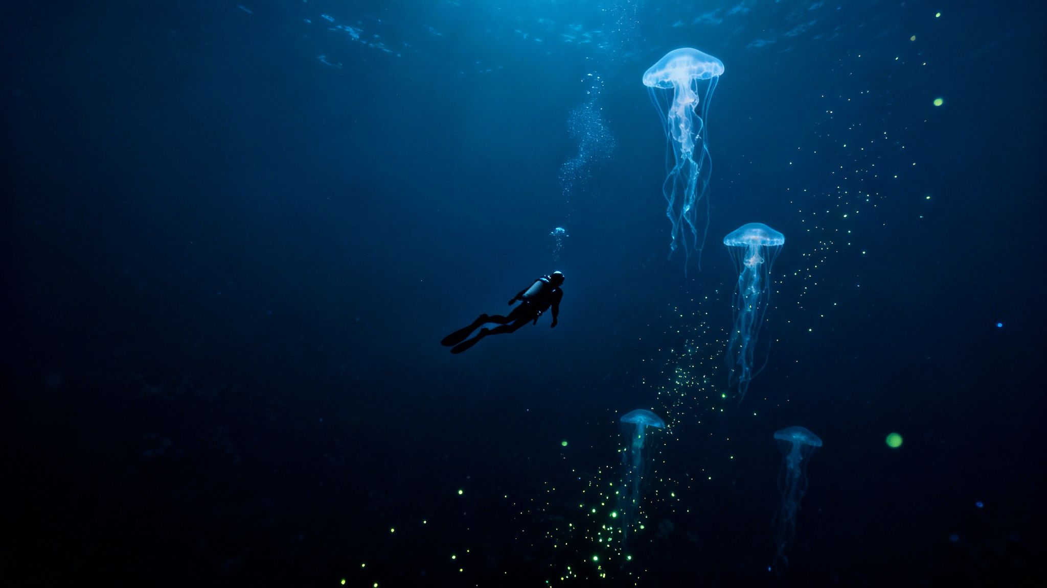 A scuba diver swims gracefully in dark blue water among glowing jellyfish and bioluminescent particles.