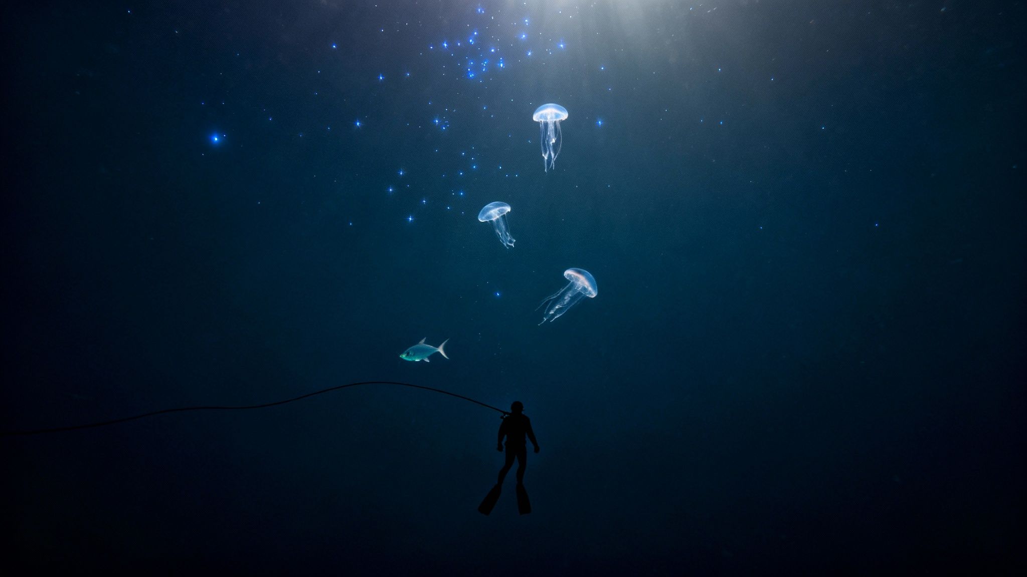 A diver with fins attached to a rope, a fish, and three glowing jellyfish swim in dark blue water.