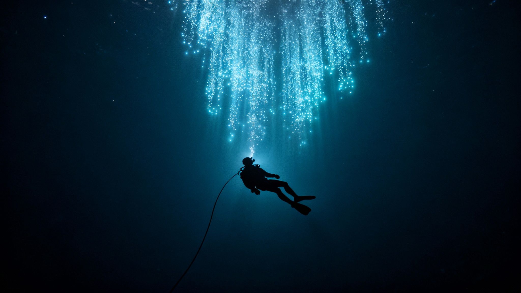 Scuba diver silhouetted against a breathtaking blue light spectacle underwater.