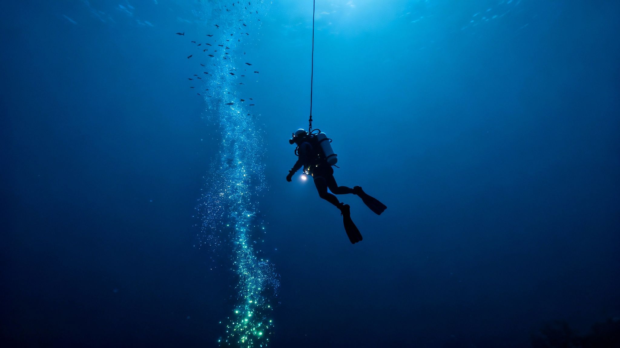 A silhouetted scuba diver descends into the deep blue ocean, holding a flashlight and a rope, surrounded by bubbles and small fish.