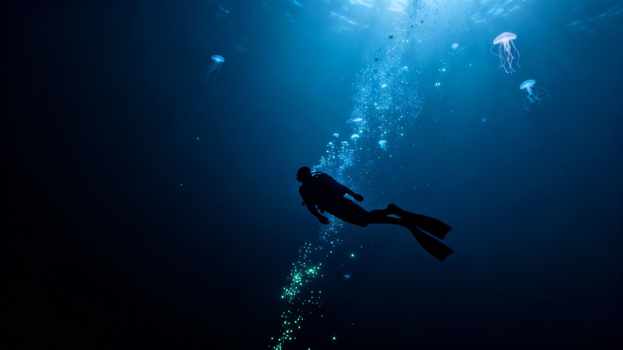 A diver in silhouette swims upwards in deep blue water, surrounded by bubbles and bioluminescent jellyfish.