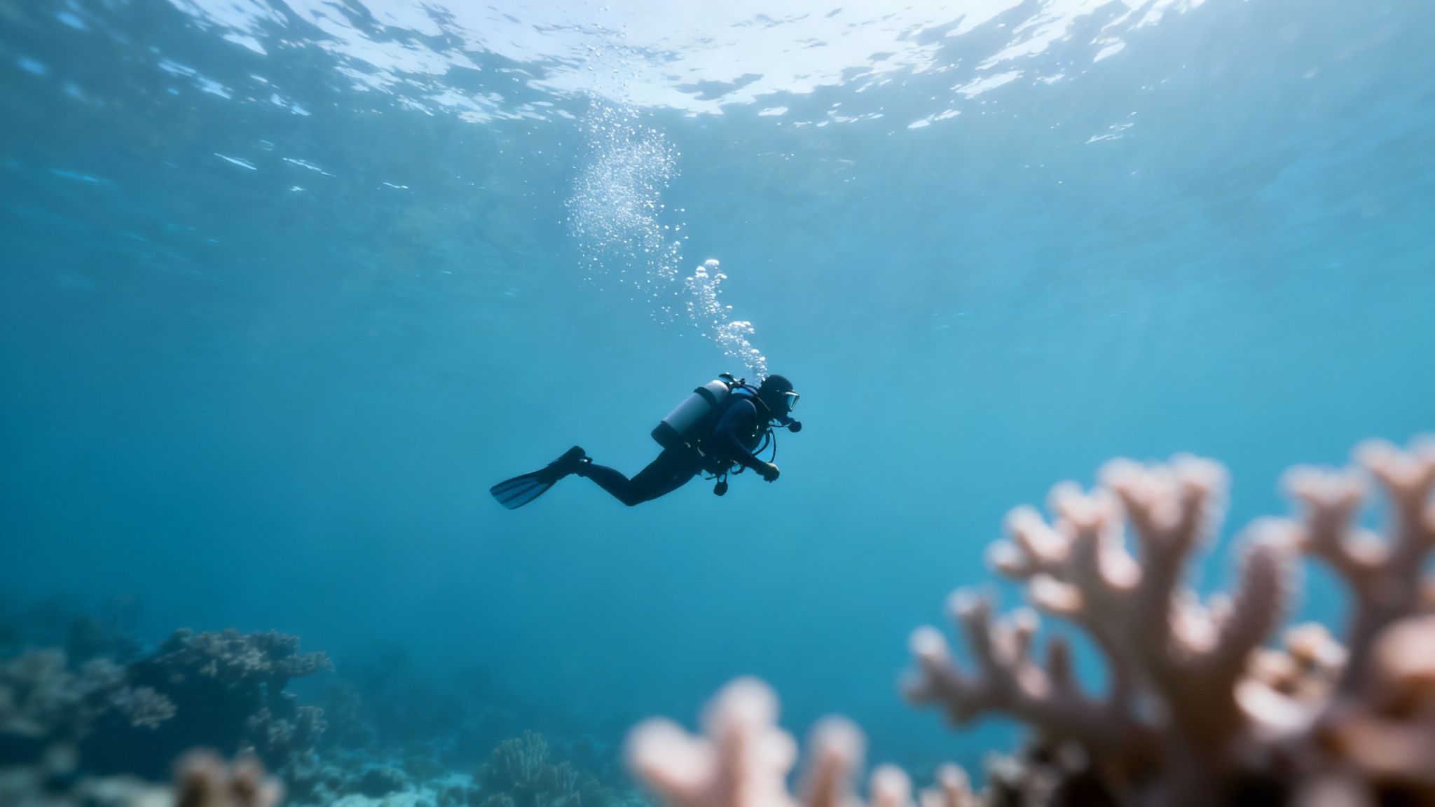 A scuba diver in a wetsuit ascends through clear blue water towards the surface, with coral reefs visible.