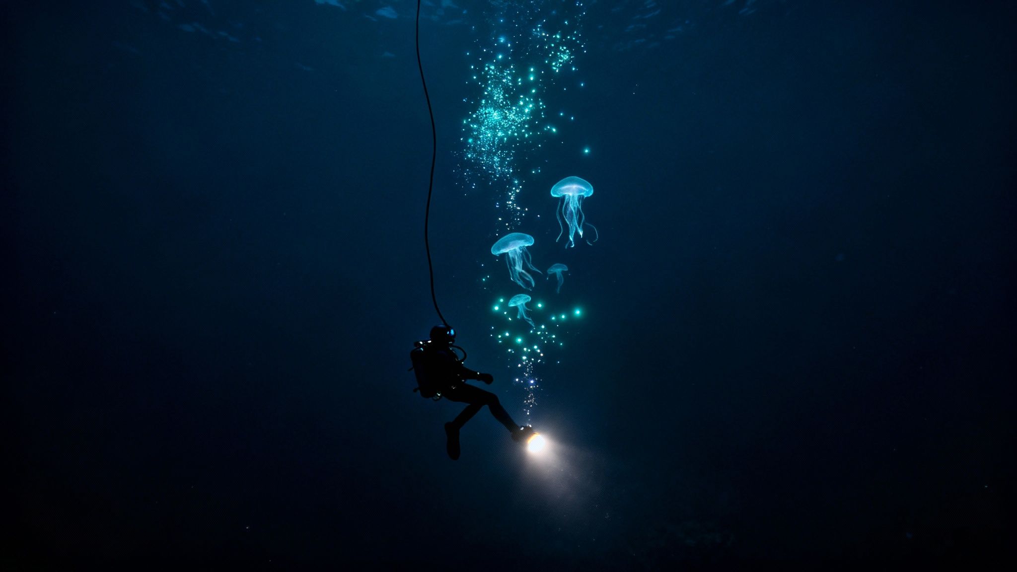 A diver in the deep blue ocean illuminates glowing jellyfish and bubbles with a torch.