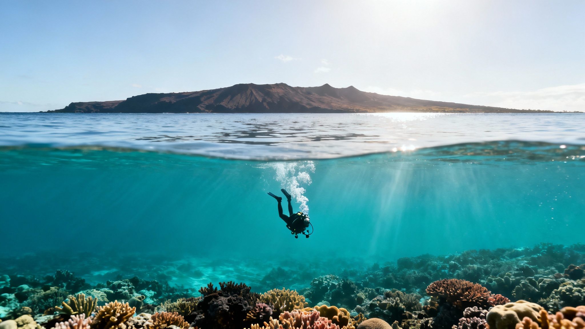 A scuba diver descends into clear ocean water above a colorful coral reef, with a sunny island in the background.