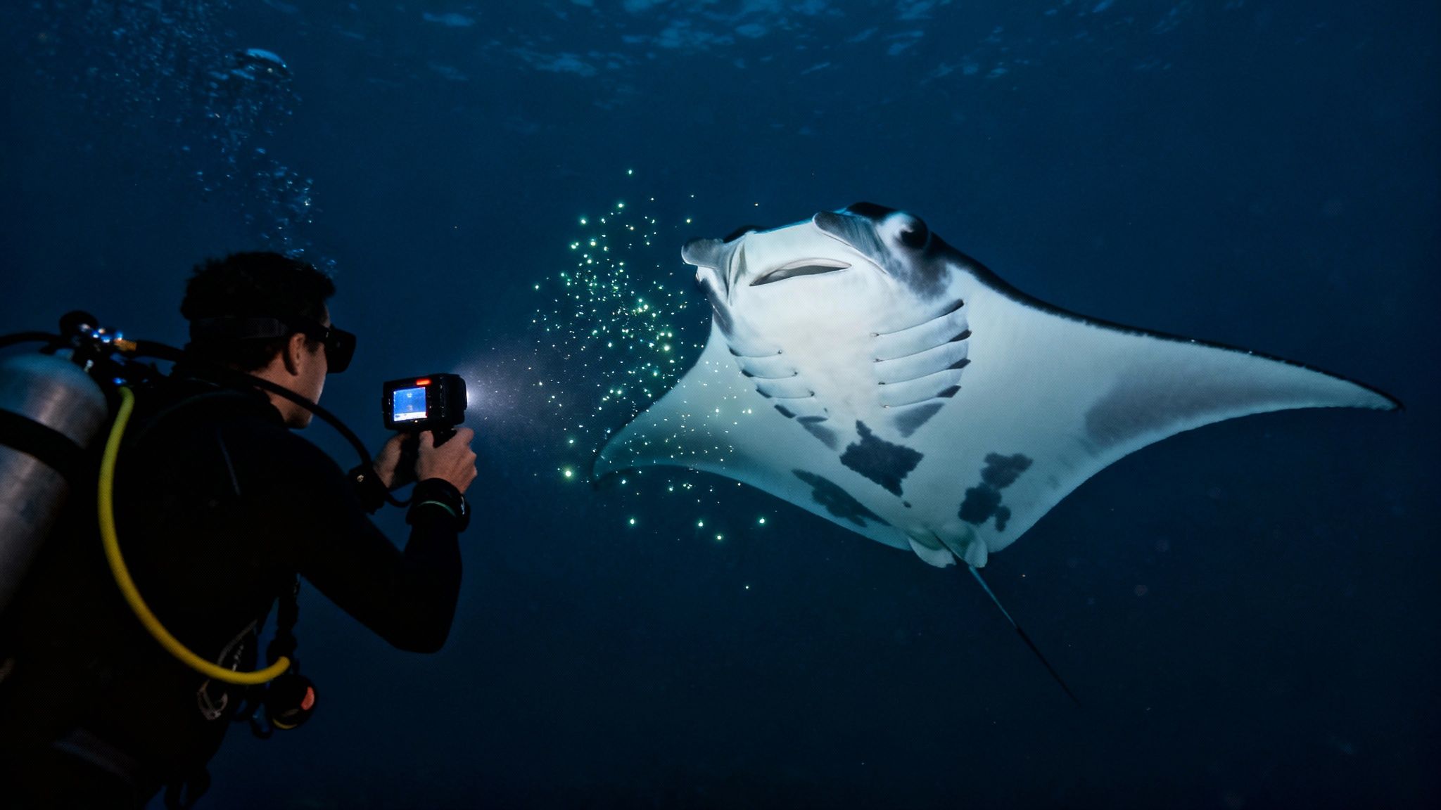 A scuba diver getting their gear ready on a boat with a Kona sunset in the background.
