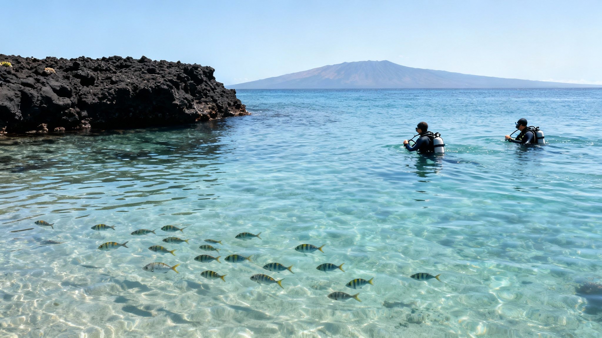 Two scuba divers in clear blue tropical water with a school of fish and a distant island.