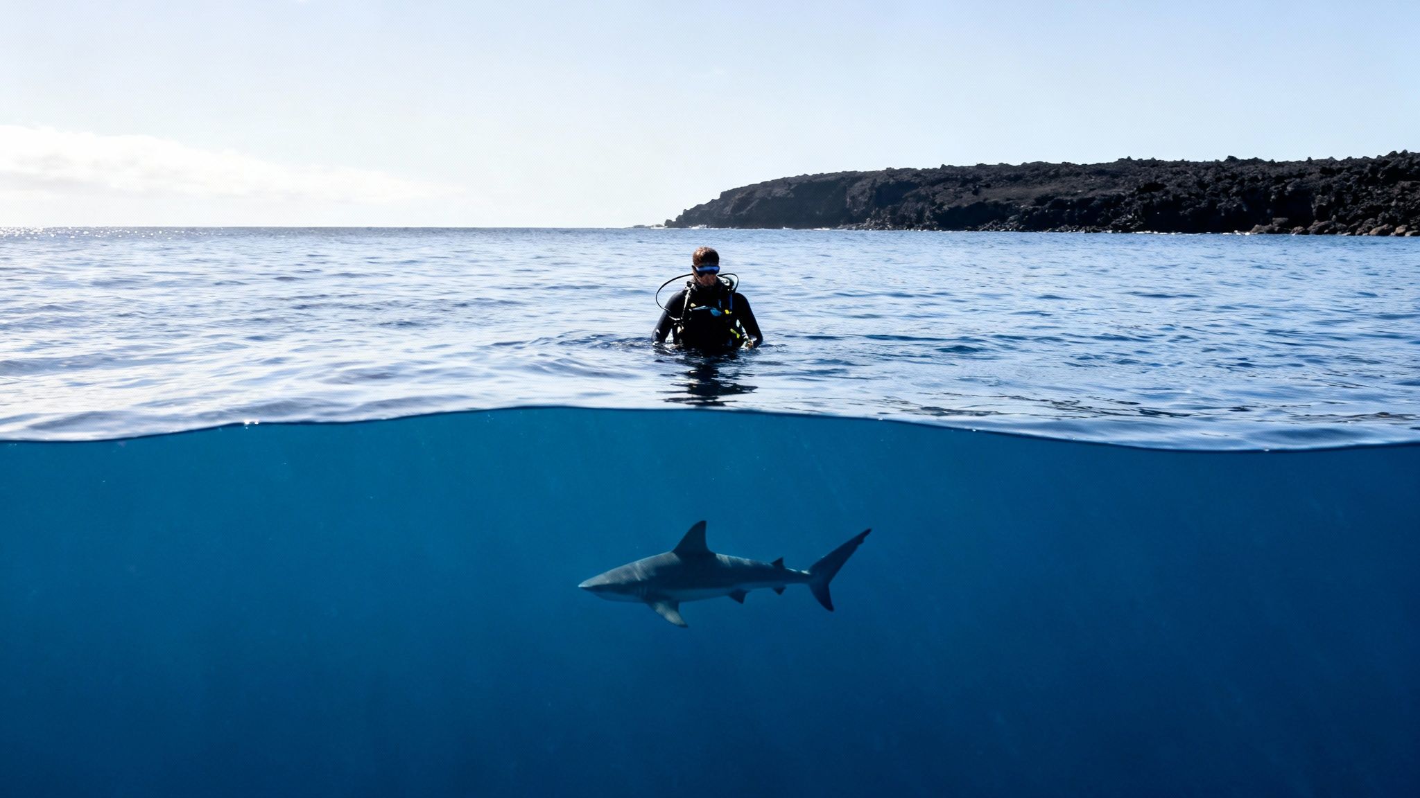 Scuba diver at the ocean surface above a shark swimming in the deep blue sea.
