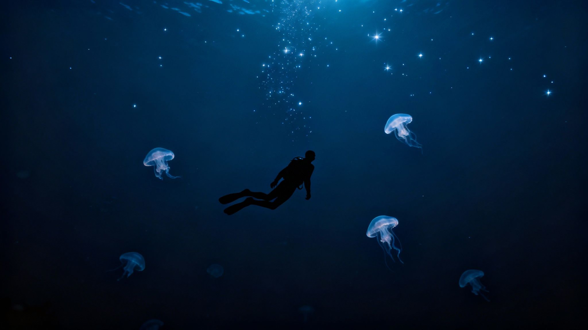 A bioluminescent creature photographed during a blackwater dive in Kona.