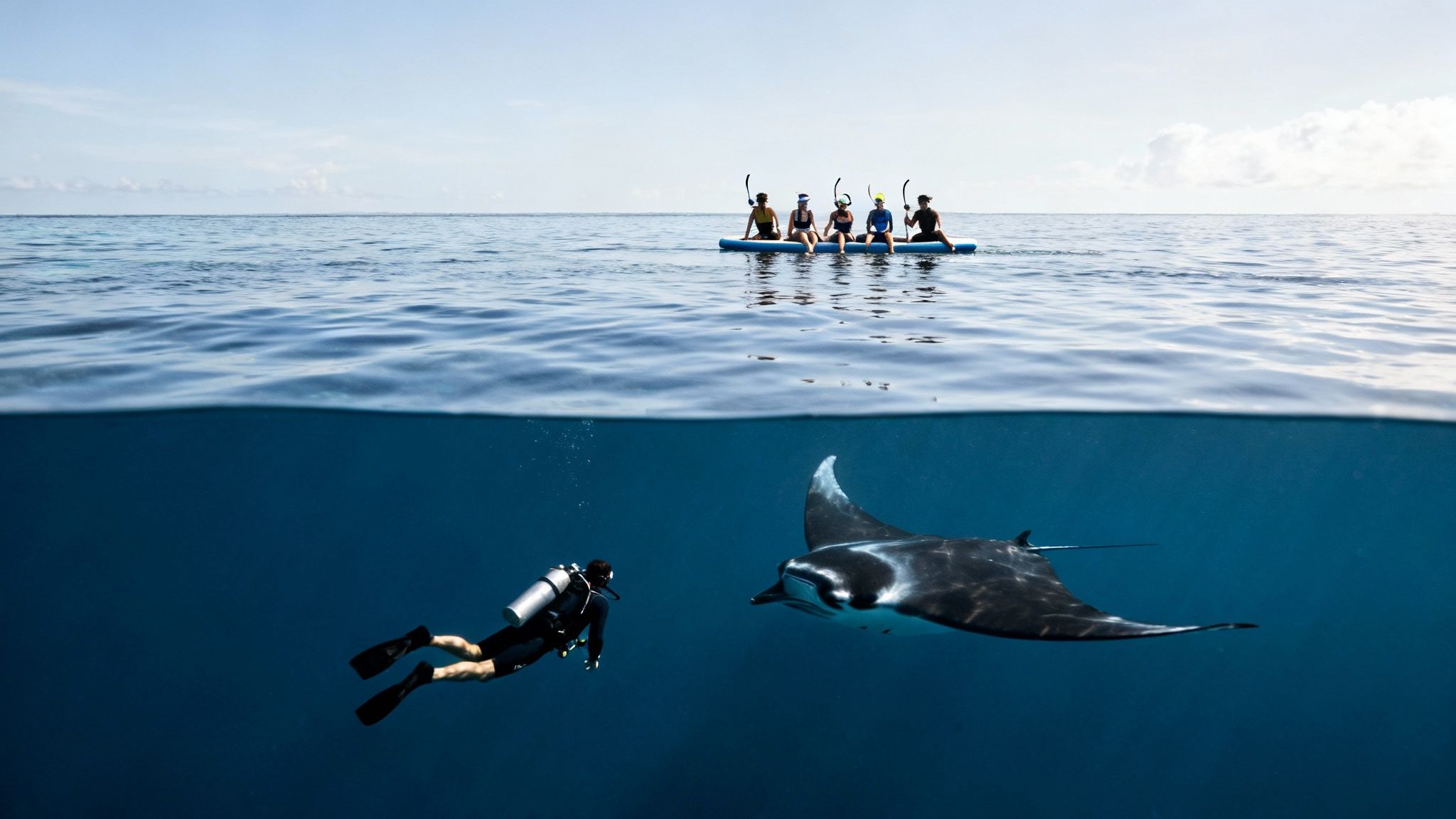A group of scuba divers watching giant manta rays swim overhead in the dark waters of Kona, Hawaii.