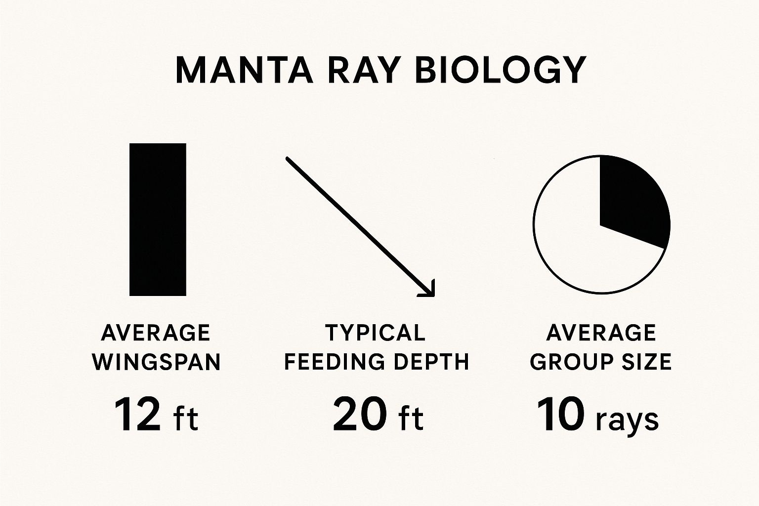 Infographic about manta dive kona