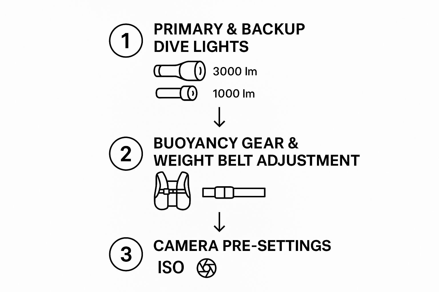 Infographic about manta ray night dive