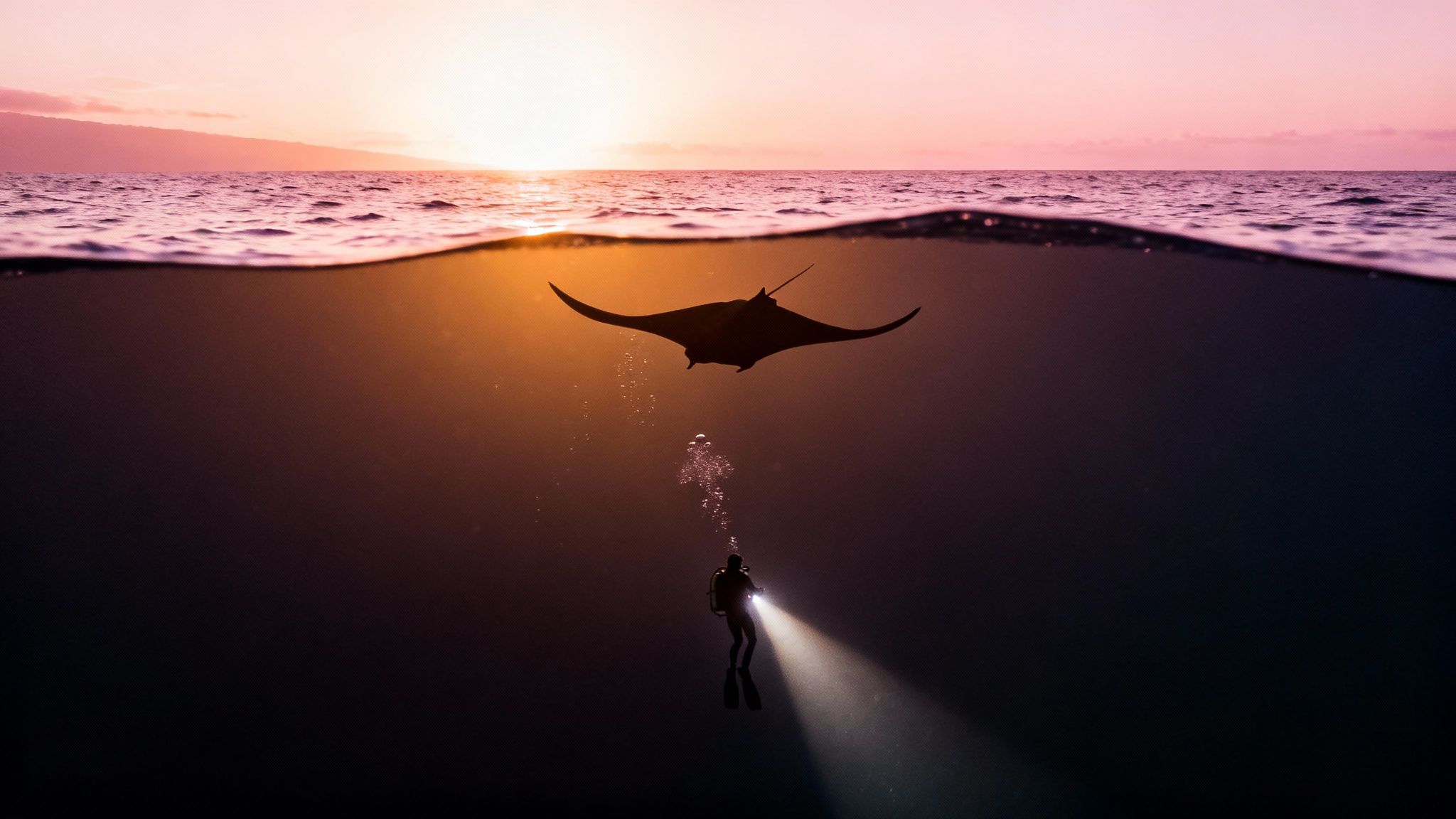 A breathtaking split-level view of a scuba diver and a manta ray at sunset.