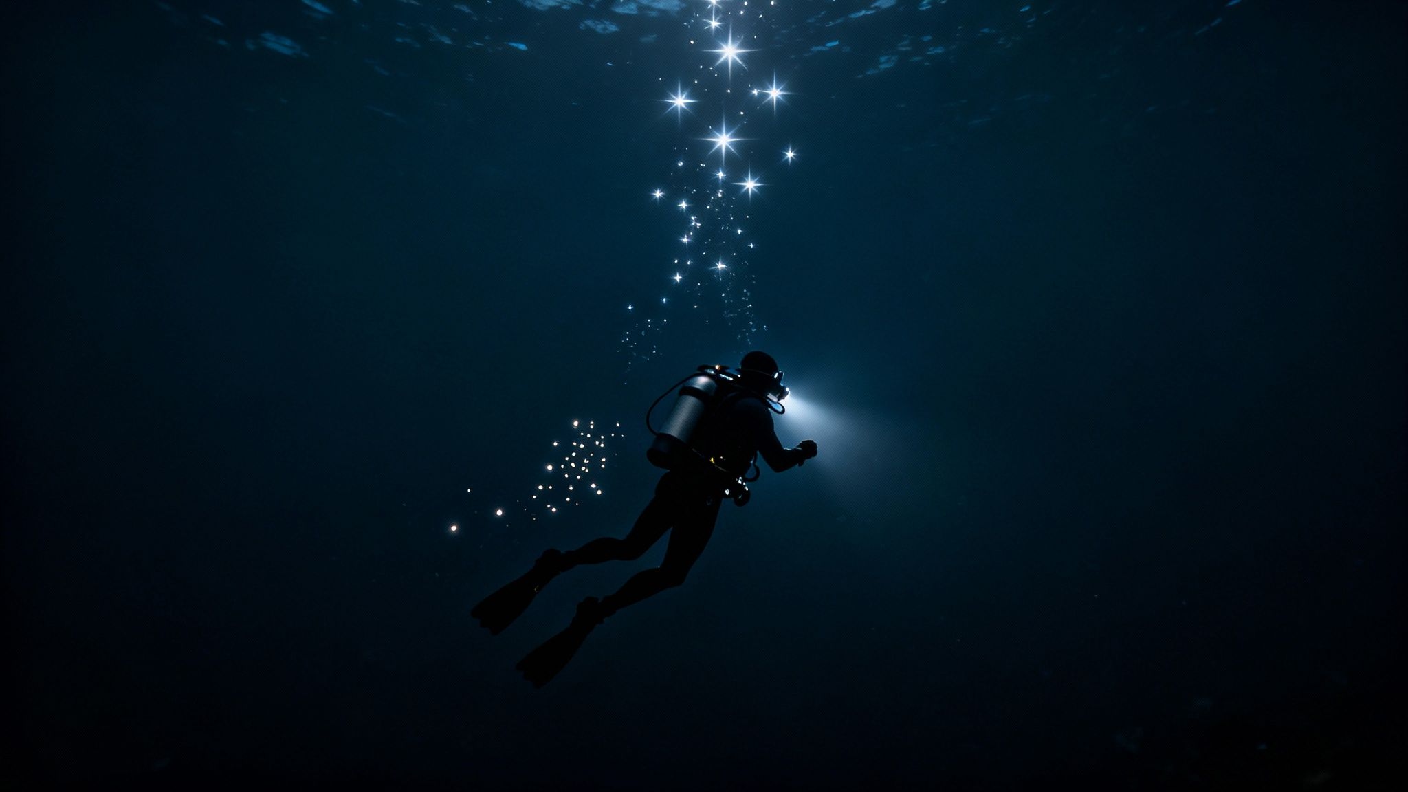 A scuba diver illuminates a strange, bioluminescent creature during a blackwater dive in the deep ocean.