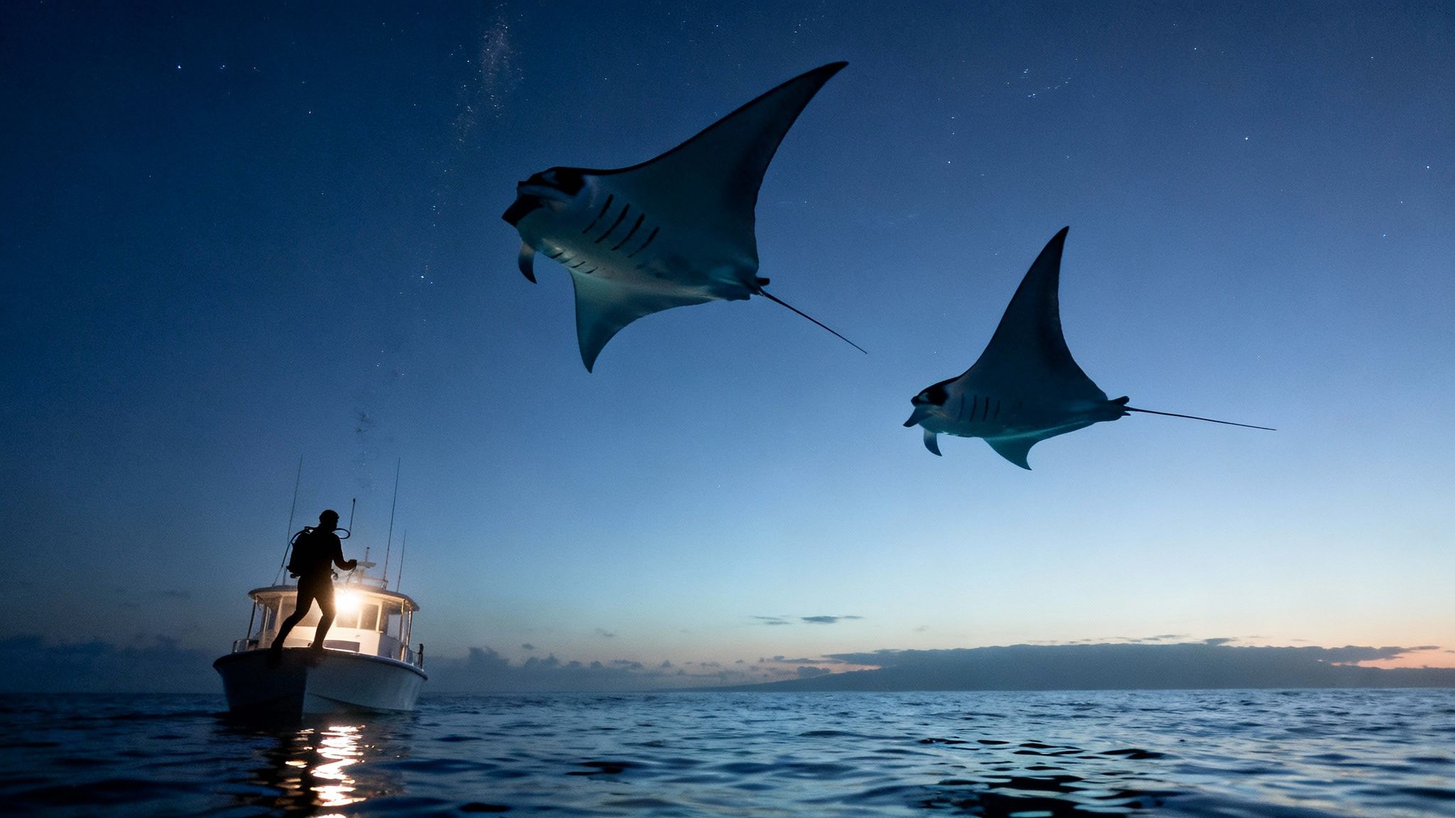 A diver on a boat at night observes two manta rays swimming under a starry sky.