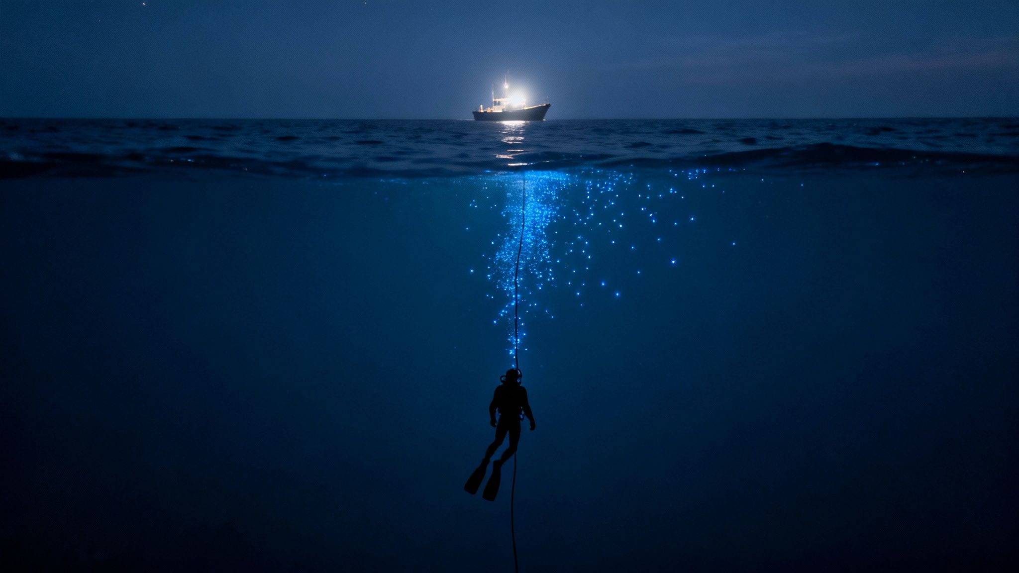 A diver descends into a dark ocean at night, surrounded by glowing bioluminescent plankton.