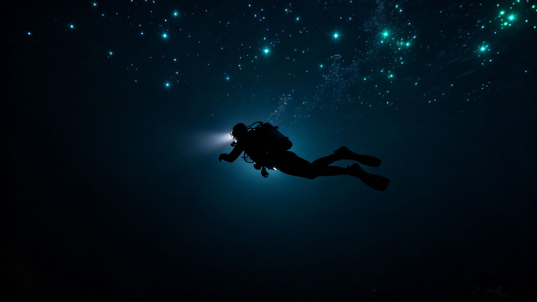 A scuba diver shines a light on a unique, glowing creature during a blackwater dive in Kona, Hawaii.