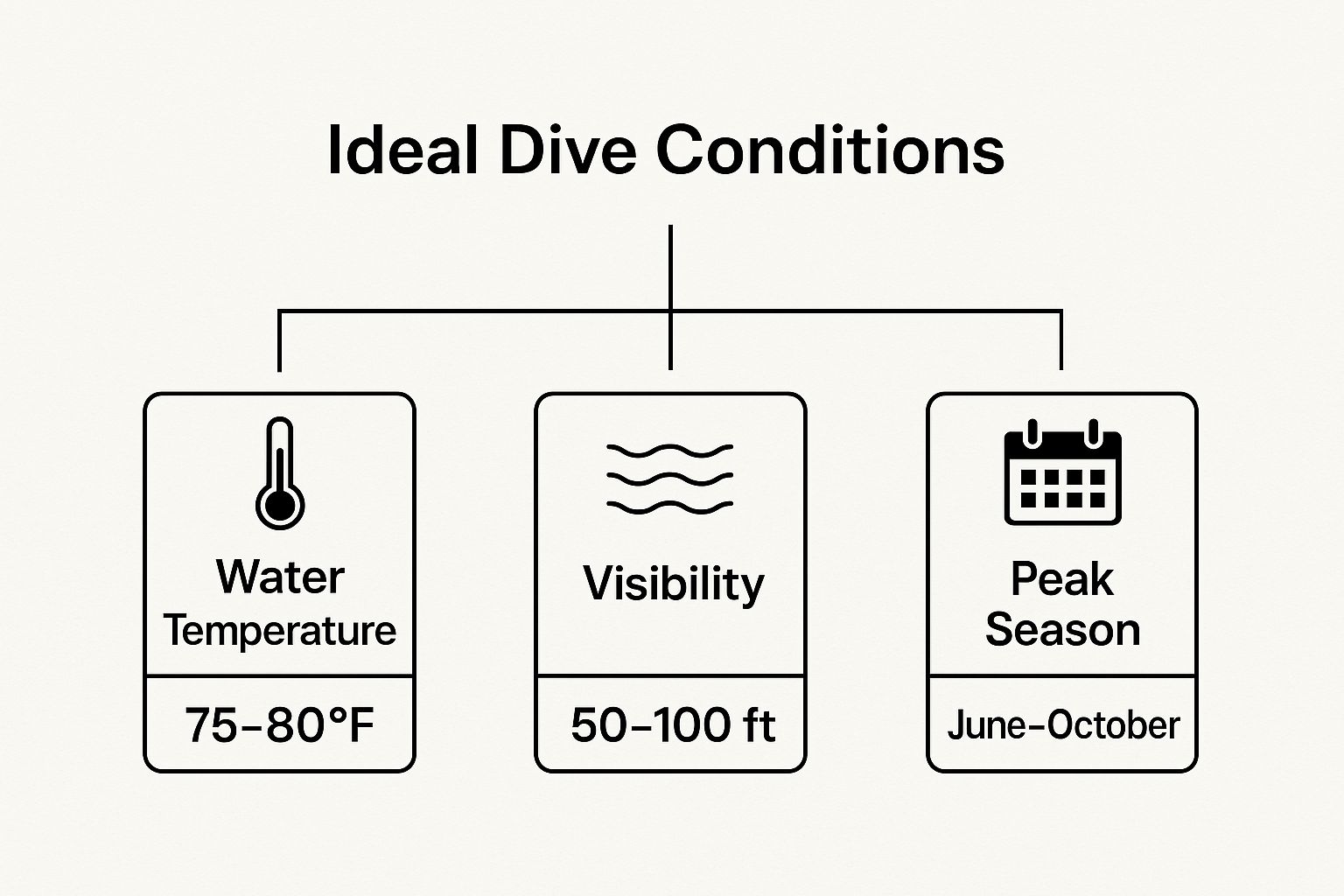 Infographic about manta ray dive kona