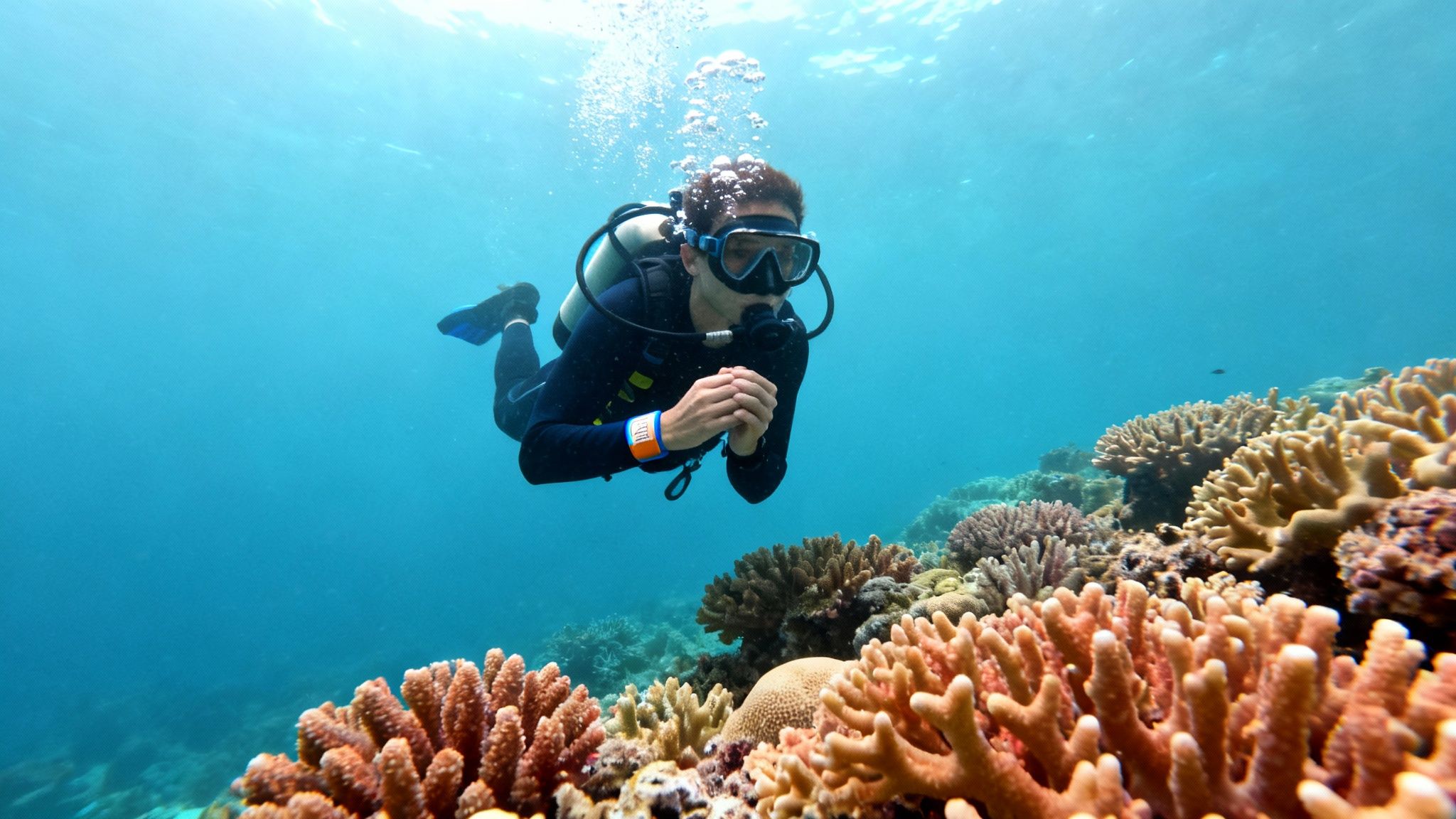 A green sea turtle swims gracefully over a healthy coral reef in clear blue water.