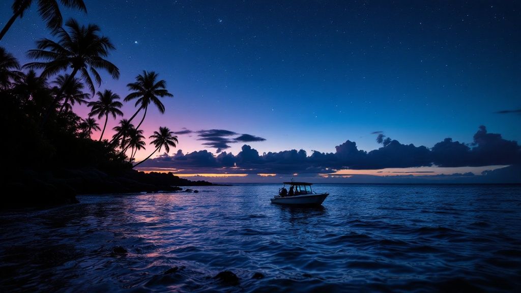 Several giant manta rays swimming gracefully at night in Kona, illuminated by dive lights.